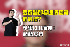 中阳为什么选择专业追讨公司来处理您的债务纠纷？